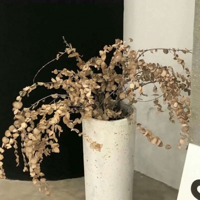 兽设古风元素融合兽圈社群